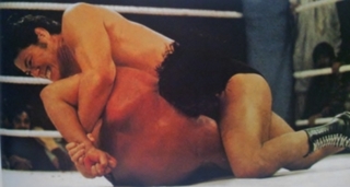 doublewristlock.JPG