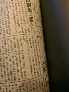 o0480064012723815021.jpg